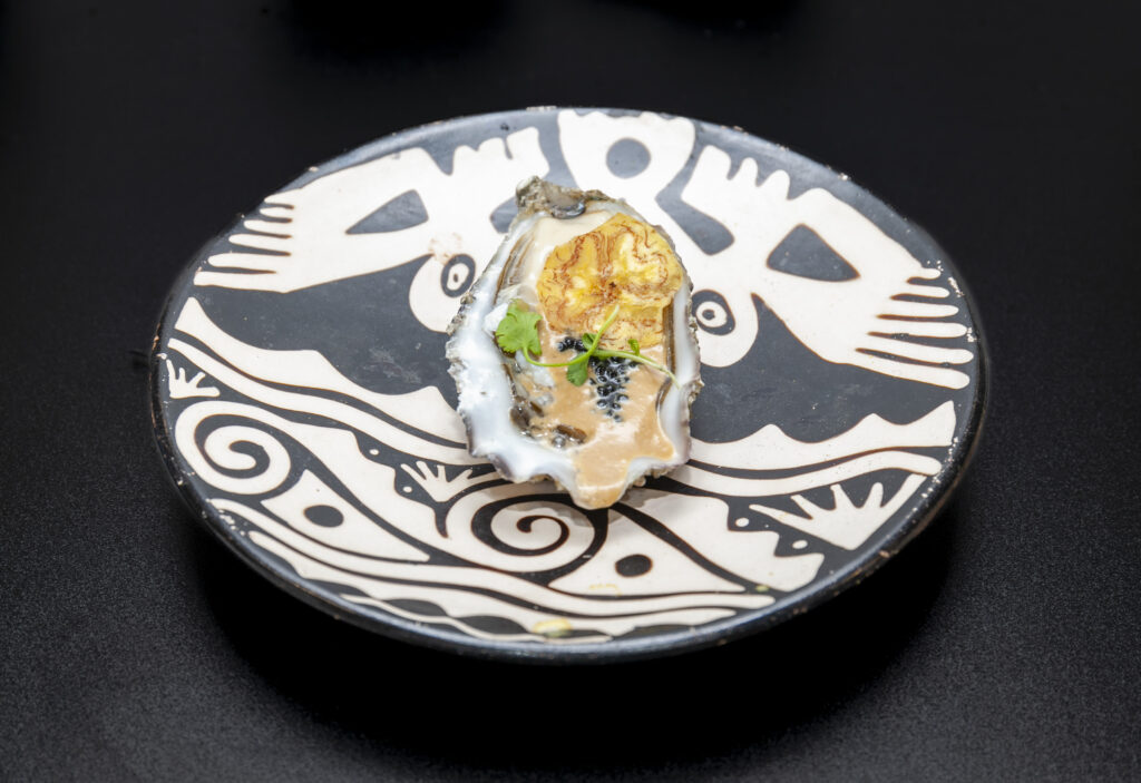 Ceviche Jipijapa Ecuatoriano de cacao fino de aroma